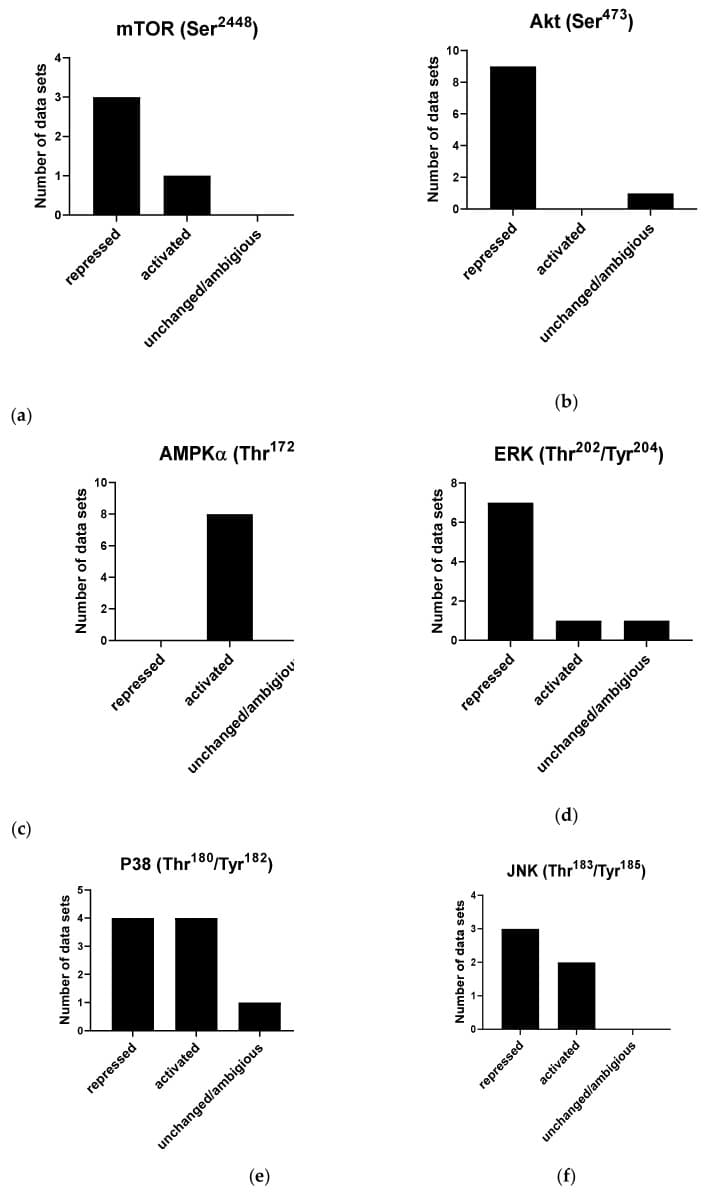 원문 Figure (molecules-26-05886-g008) — Europe PMC OA