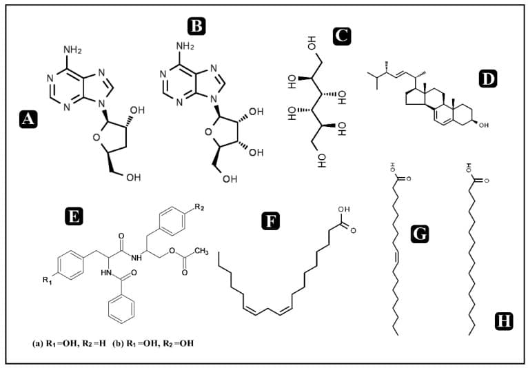 원문 Figure (molecules-25-02735-g001) — Europe PMC OA