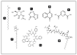 원문 Figure (molecules-25-02735-g002) — Europe PMC OA