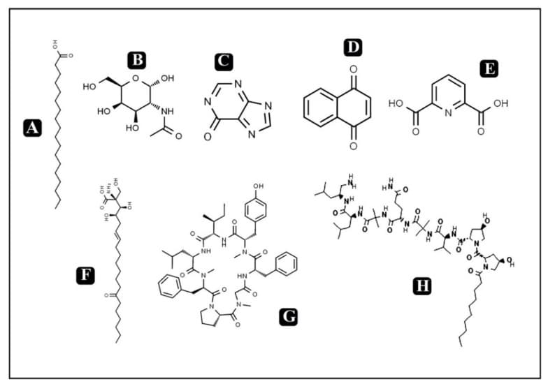 원문 Figure (molecules-25-02735-g002) — Europe PMC OA