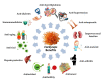 원문 Figure (molecules-25-02735-g003) — Europe PMC OA