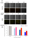 원문 Figure (antioxidants-11-01502-g003) — Europe PMC OA