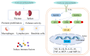 원문 Figure (molecules-29-05107-g001) — Europe PMC OA